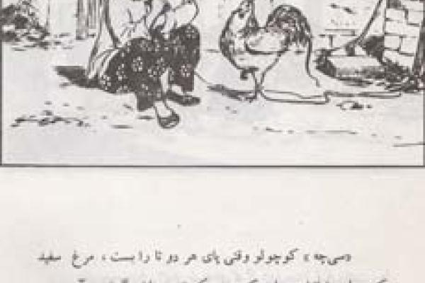 مرغ سفید کوچولو(۱۰)