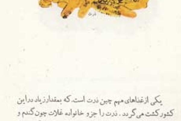 چین (۷)