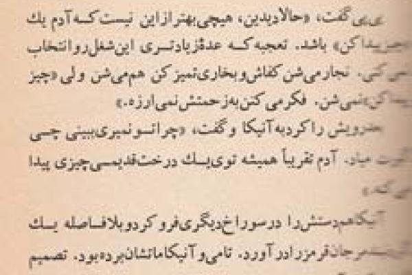 پی پی جوراب بلند (۲۷)