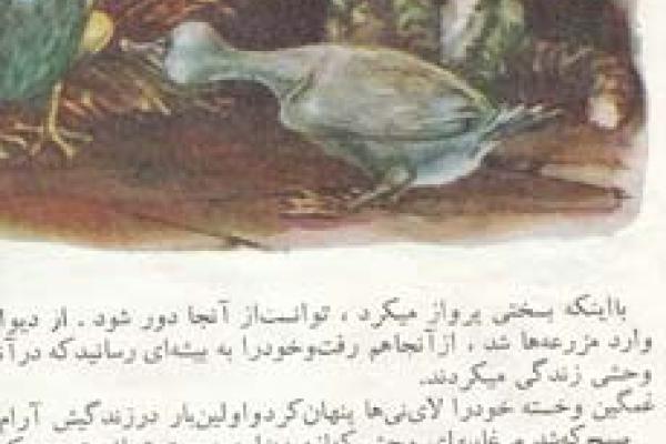 جوجه اردک زشت(۳)