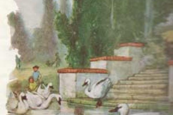 جوجه اردک زشت(۶)
